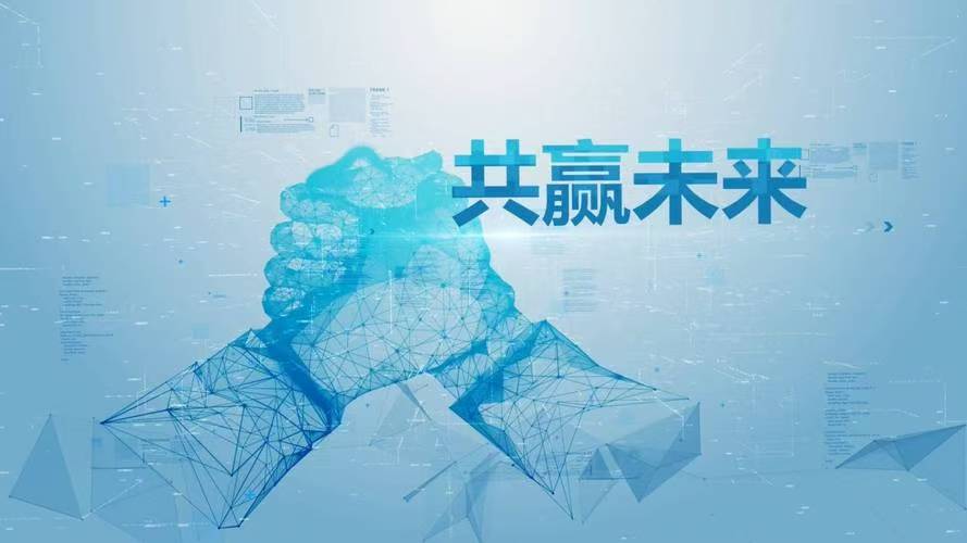 网络项目